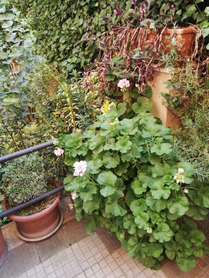 Tra Gianicolo E Trastevere Bed & Breakfast Rom
